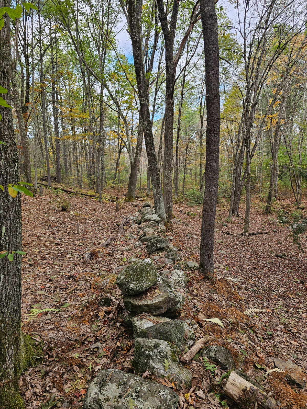 Stone wall across hole 7