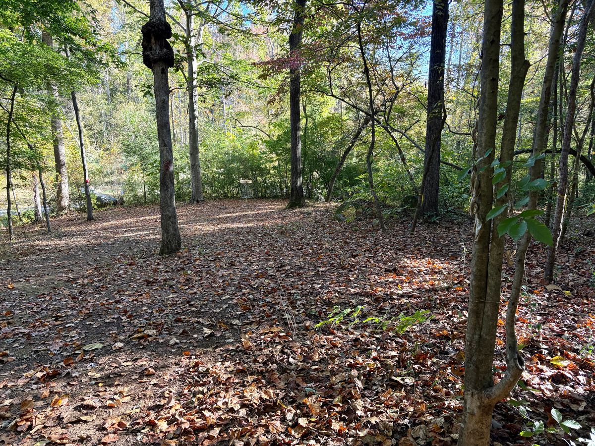 Hole 3 approach