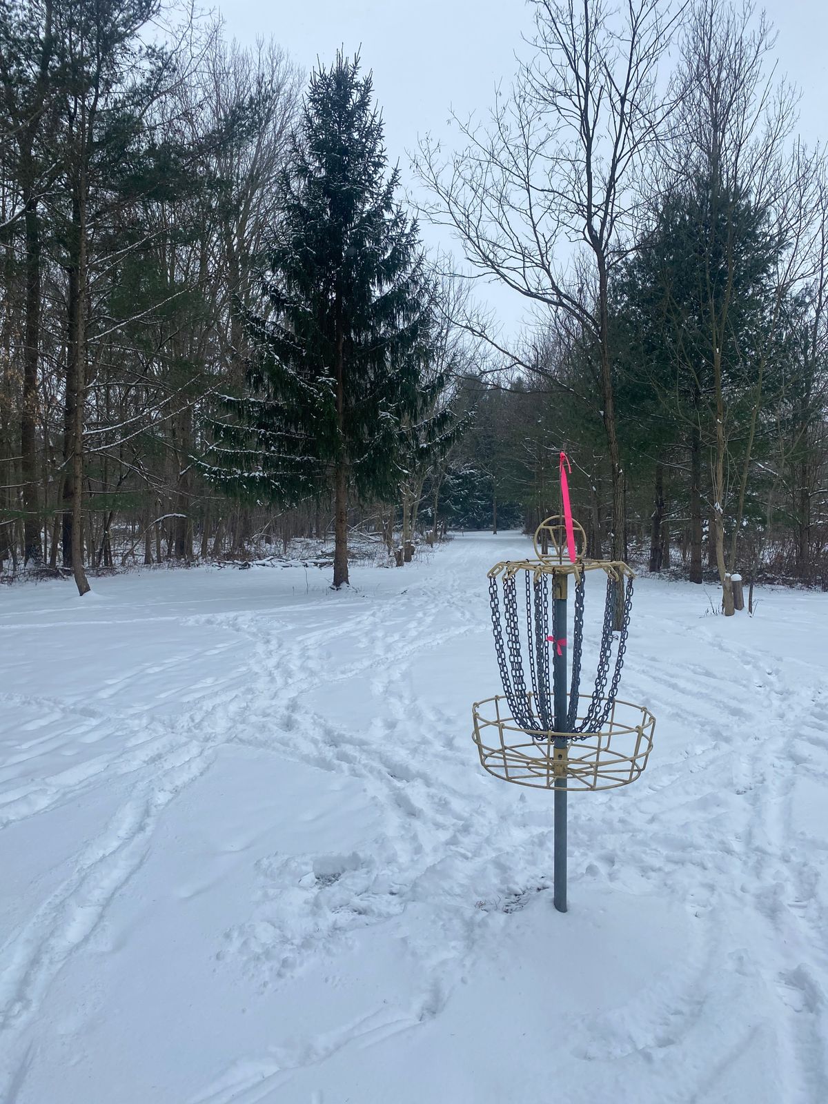 Hole 5
