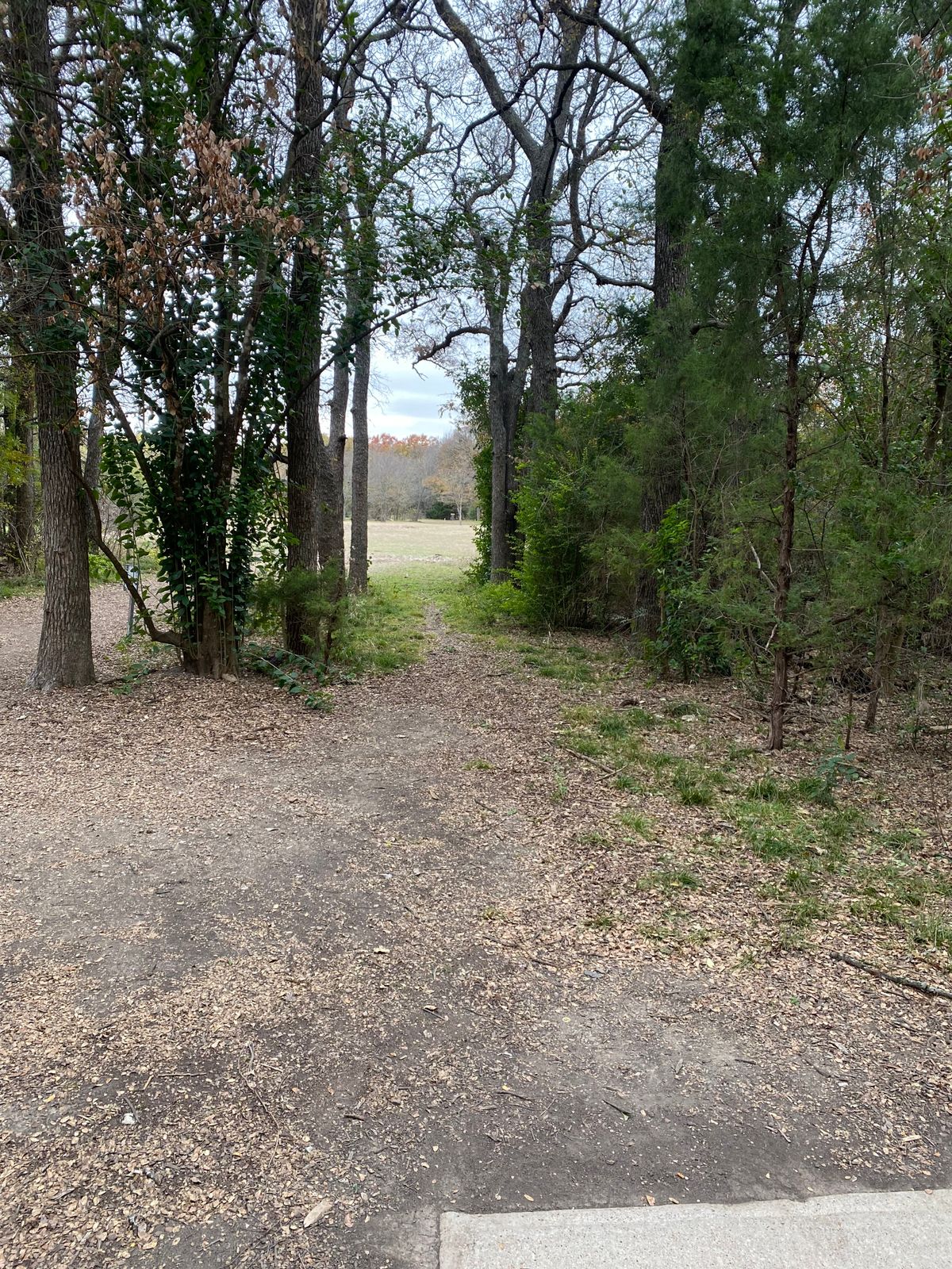 Hole 12 Long tee