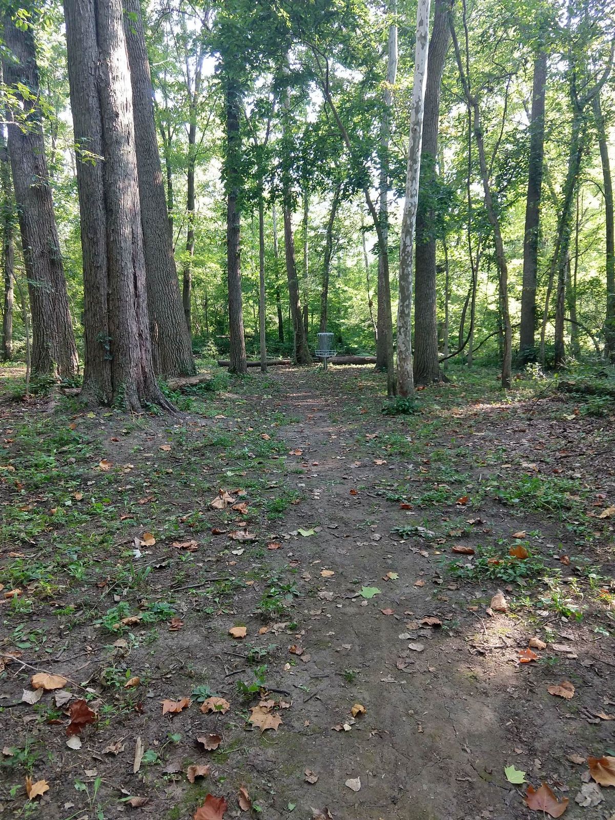 Hole 7