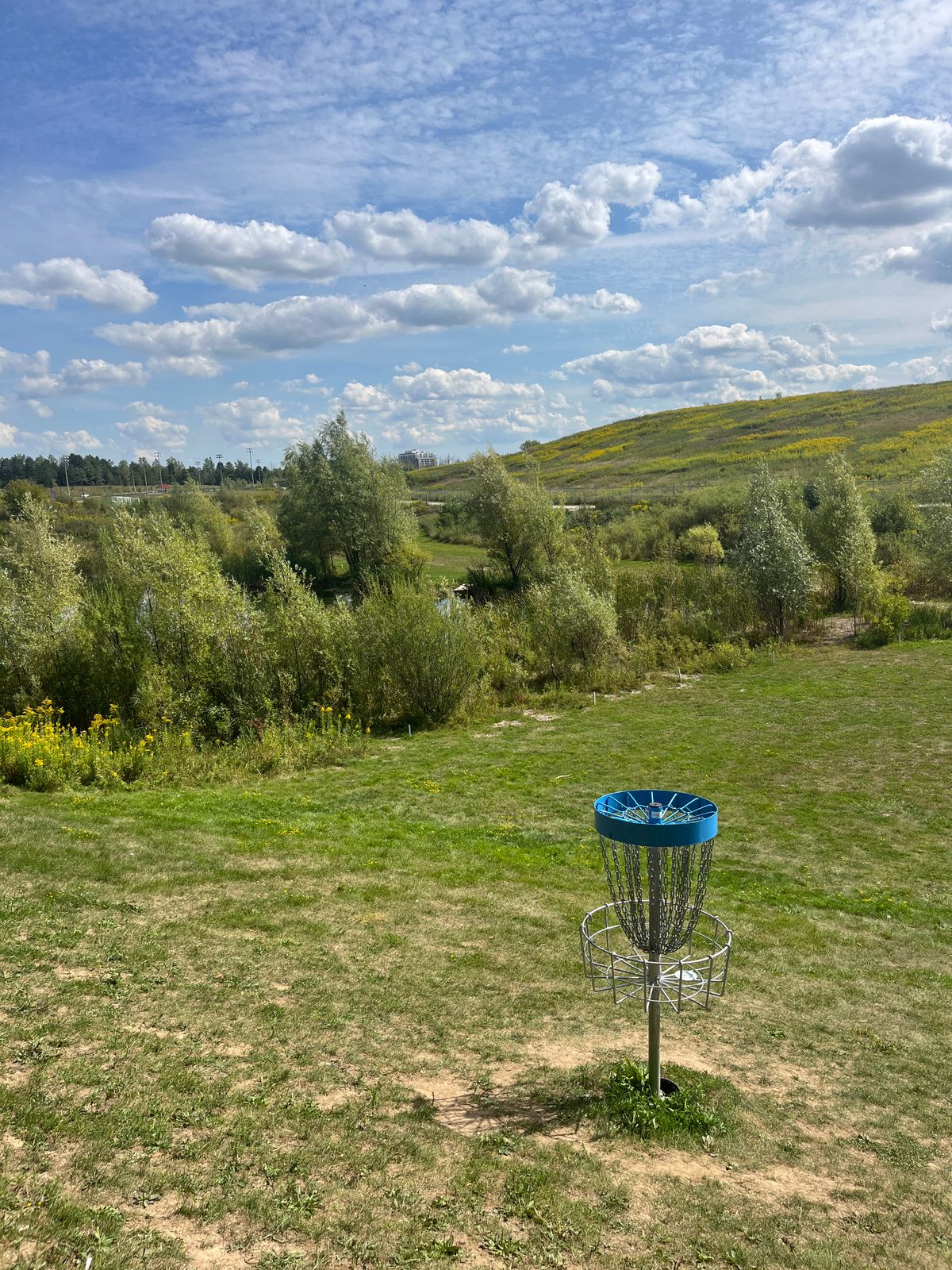 Hole 15 basket looking back towards the tee-pads.