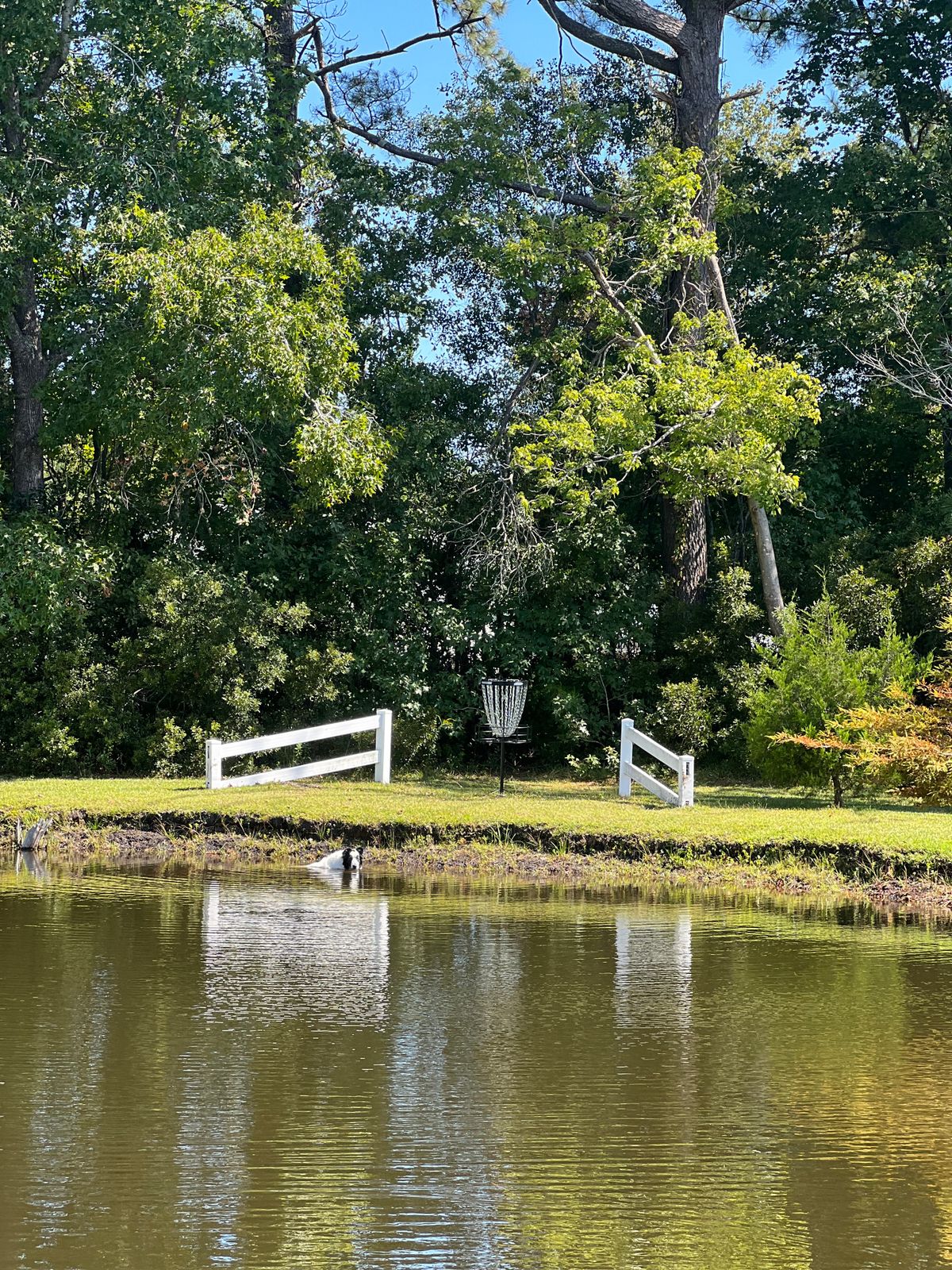 Live Oaks Farm