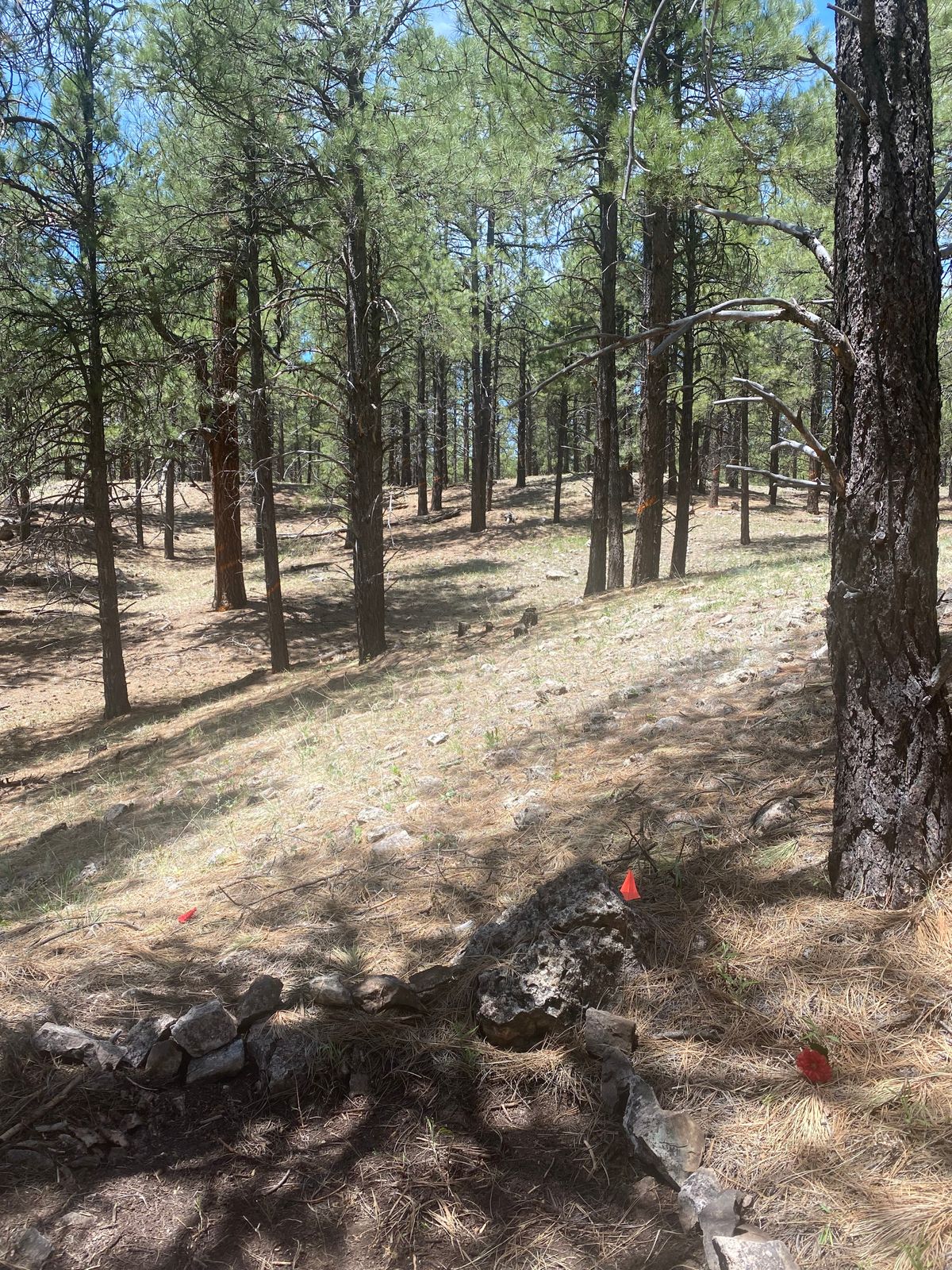 Hole 3. Short but technical uphill shot
