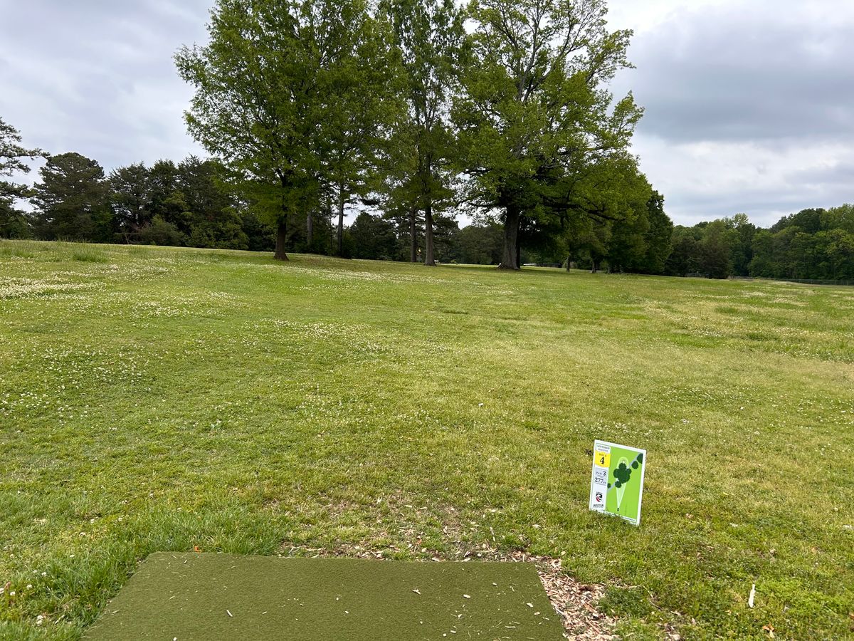 Hole 4 from the tee