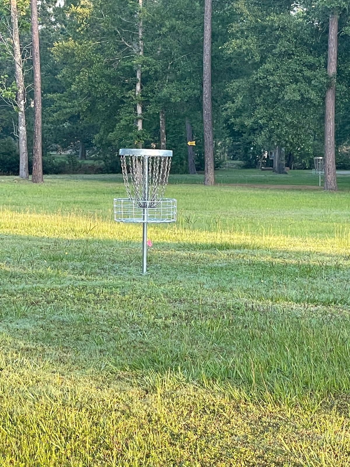 Hole 7 Basket