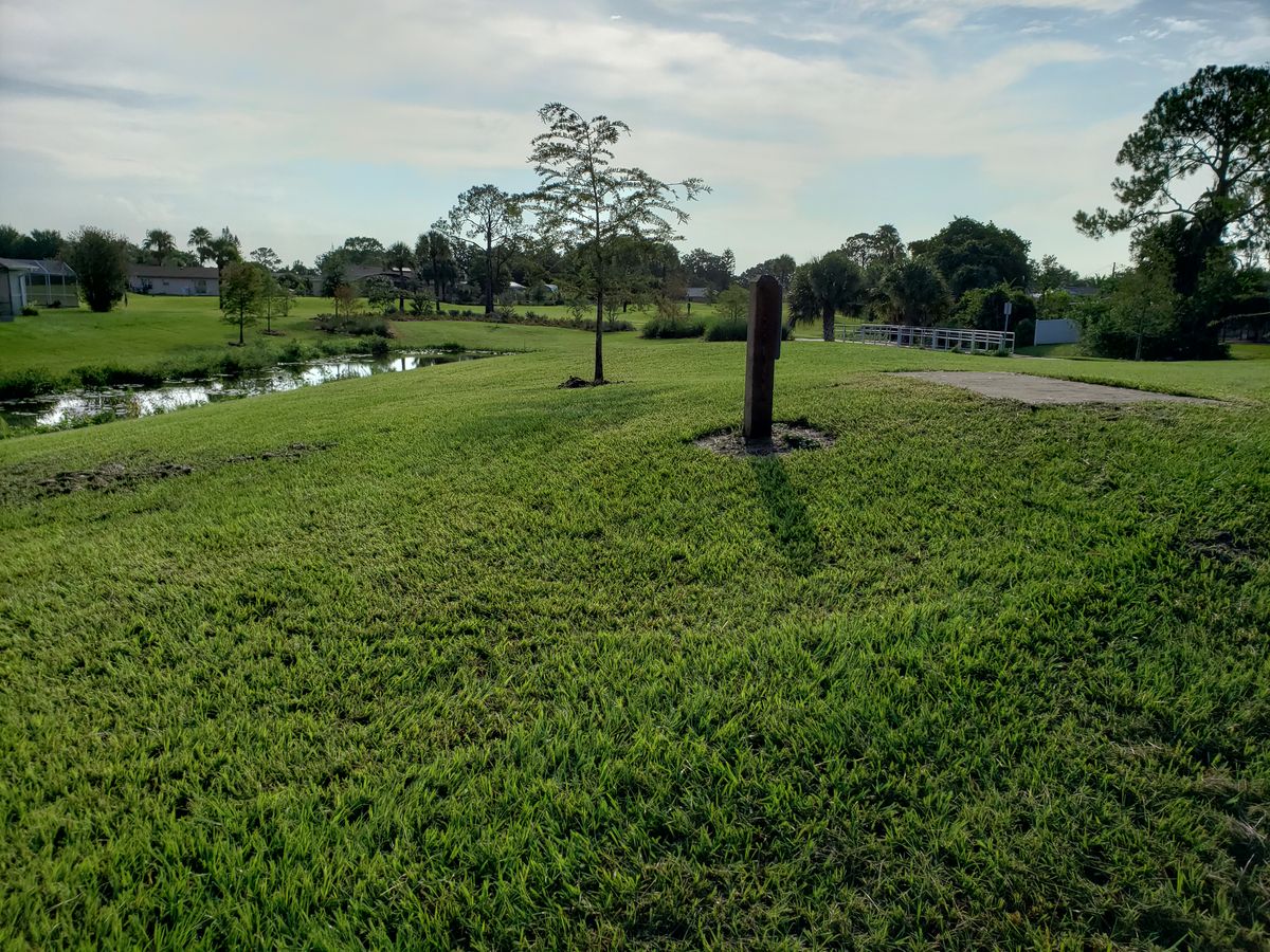 #5 Long Tee Box view.