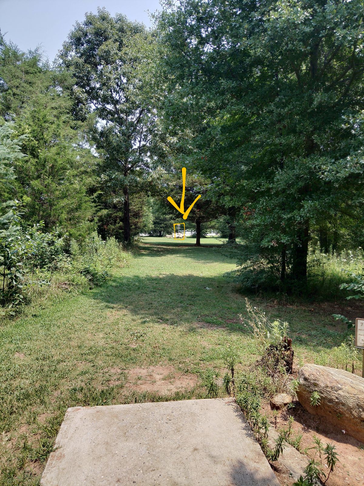 View from tee box.