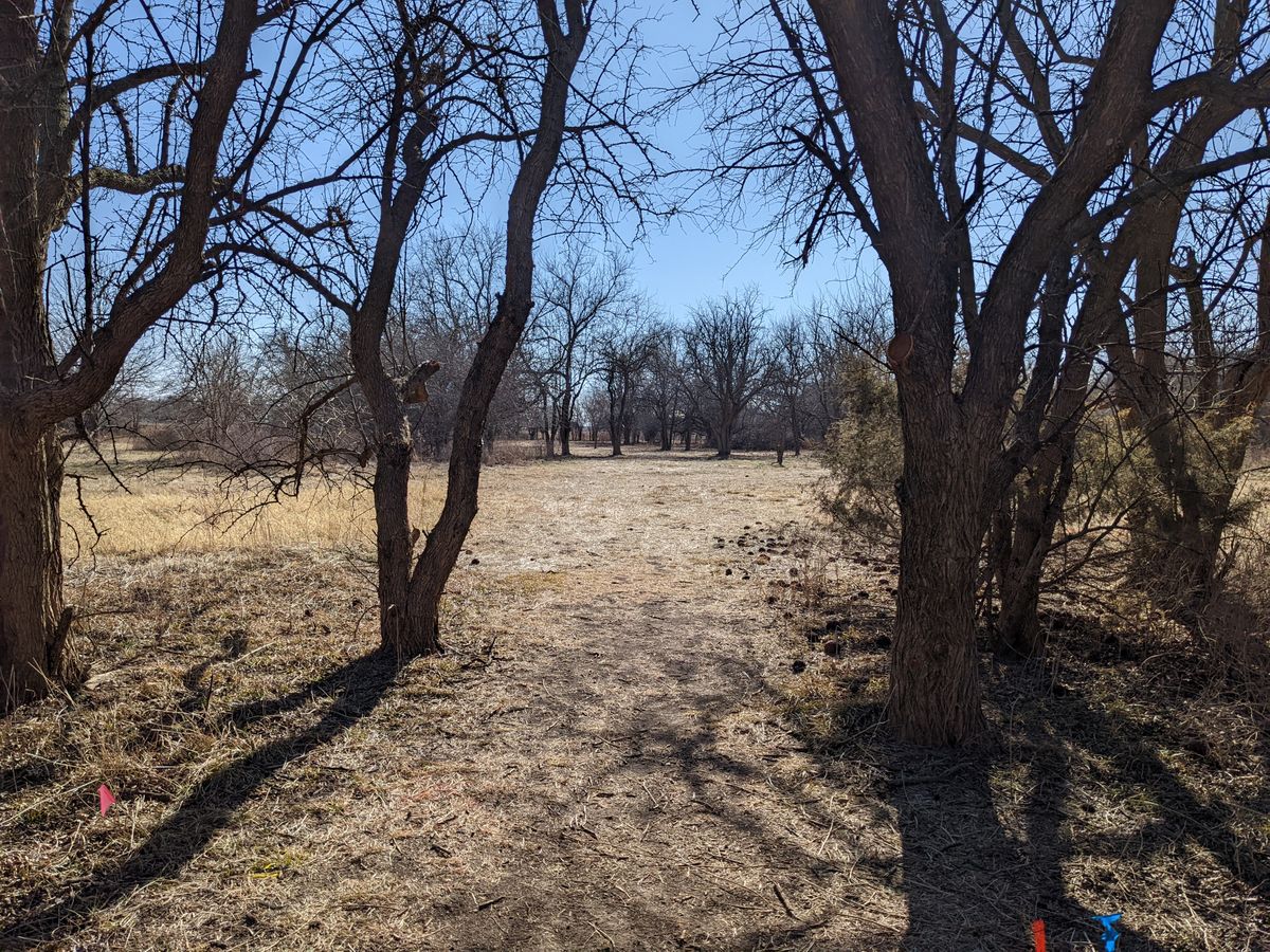 Hole #15