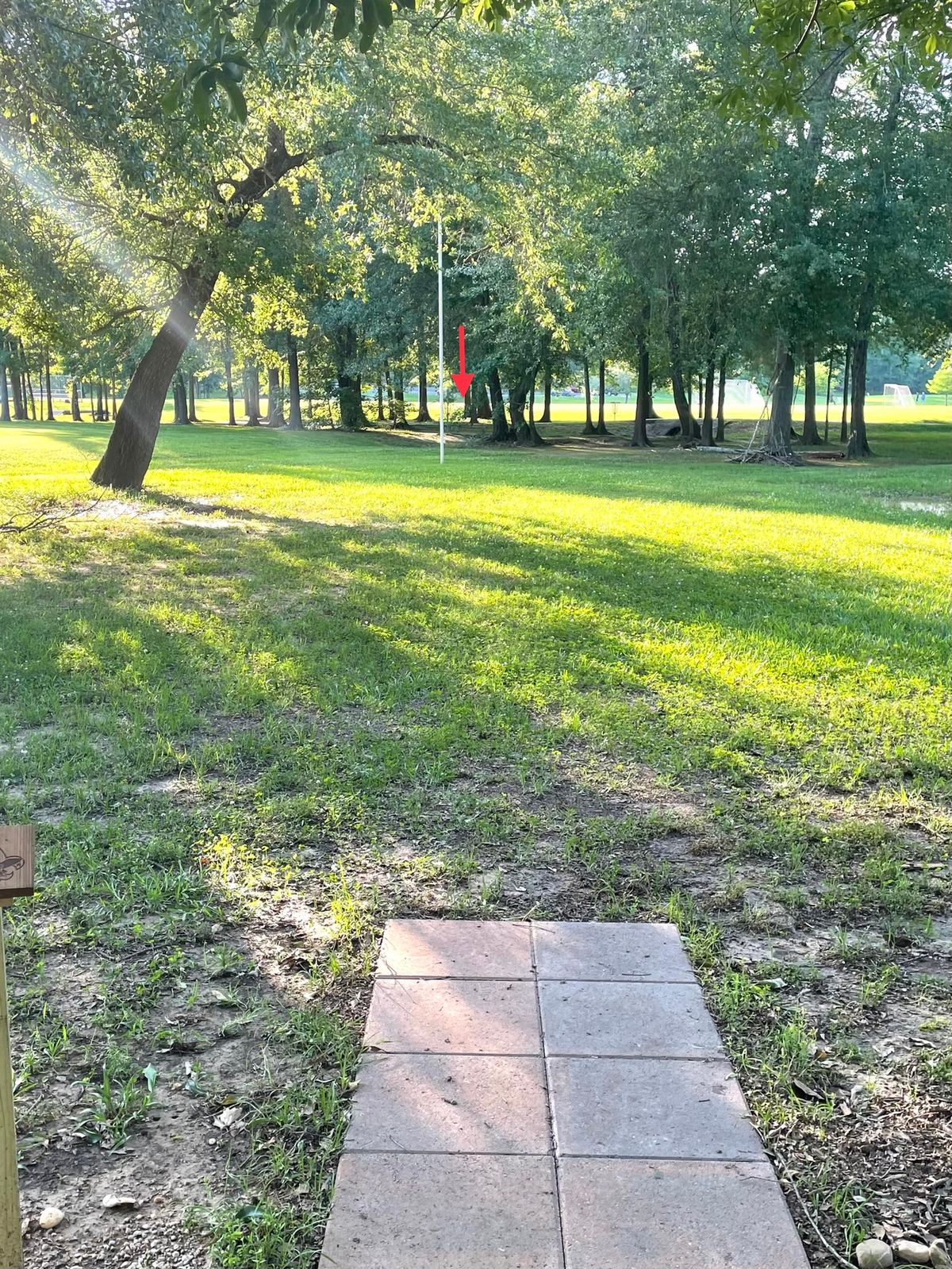 Hole 7. Pavement and beyond is OB.