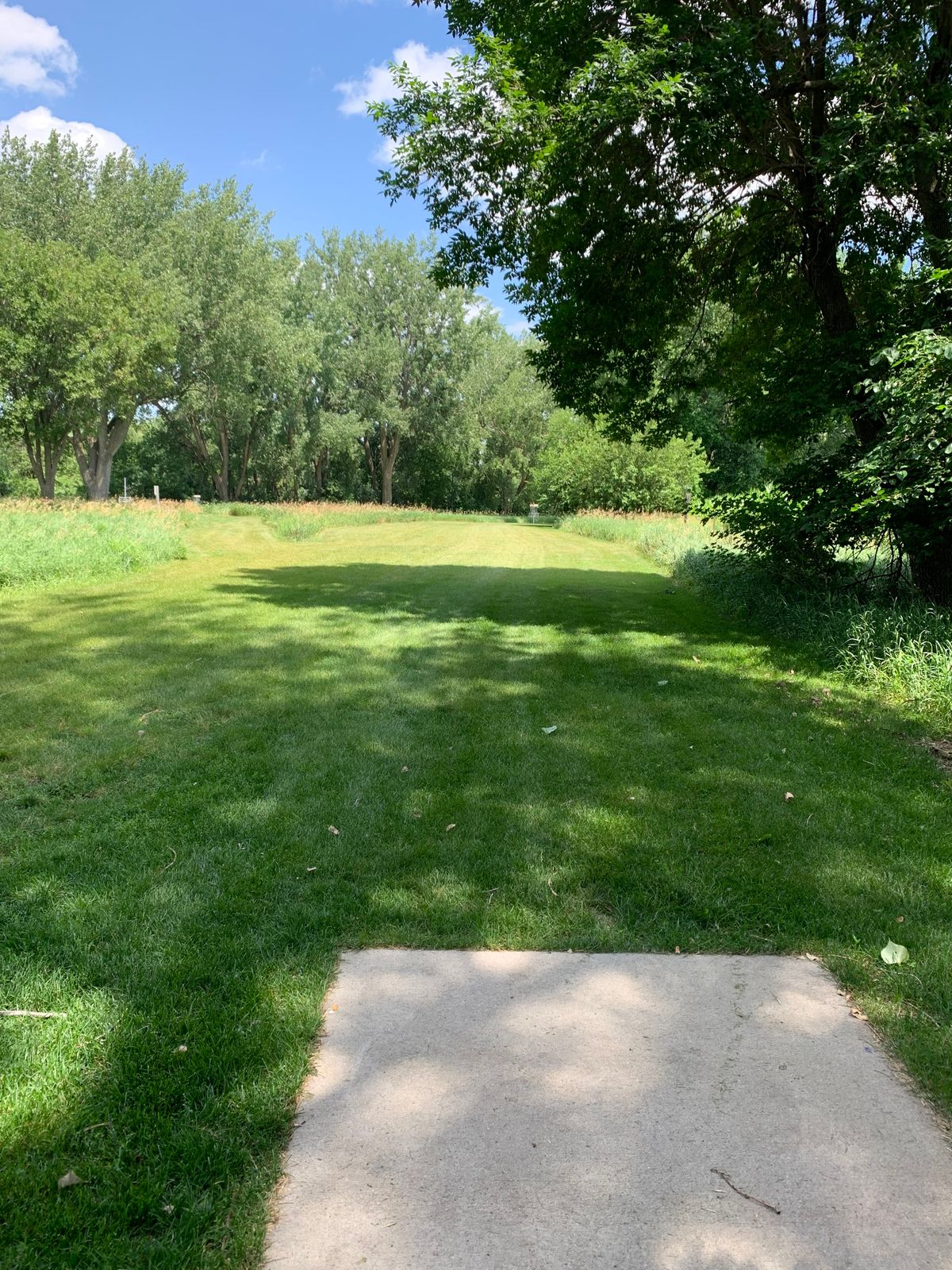 Hole 8 tee pad.