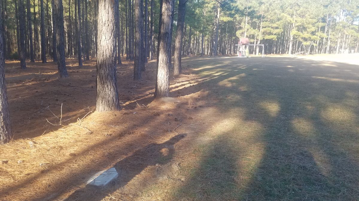 Hole 2