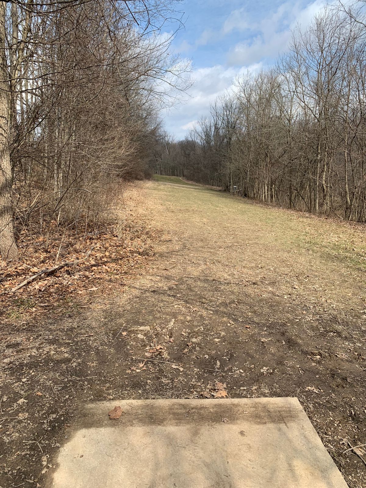 Hole 3 Tee