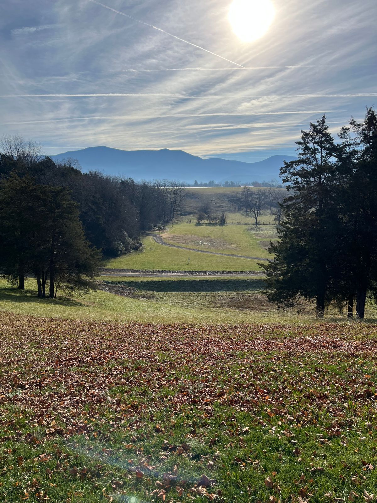 Hole 13