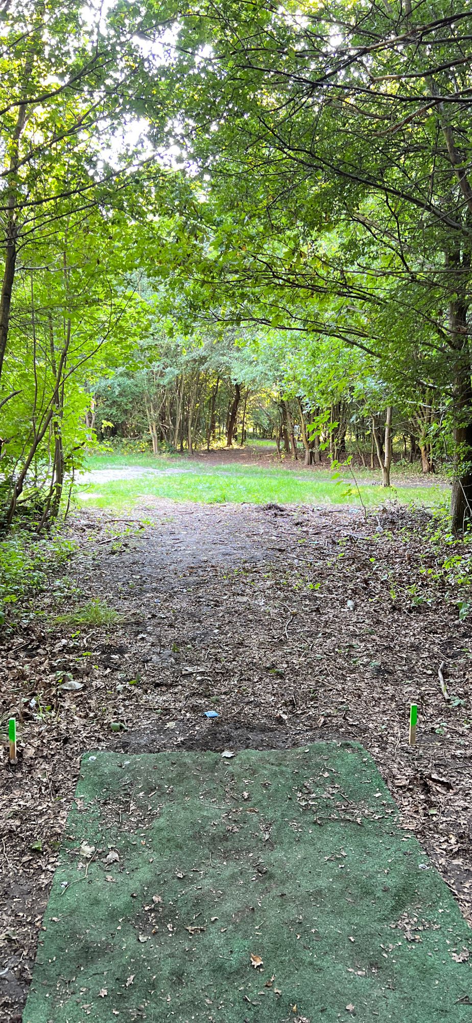 Tee #2 - Par3