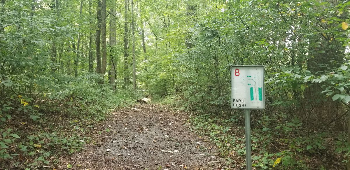 #8.  247ft  Crests the hill and finishes to the left
