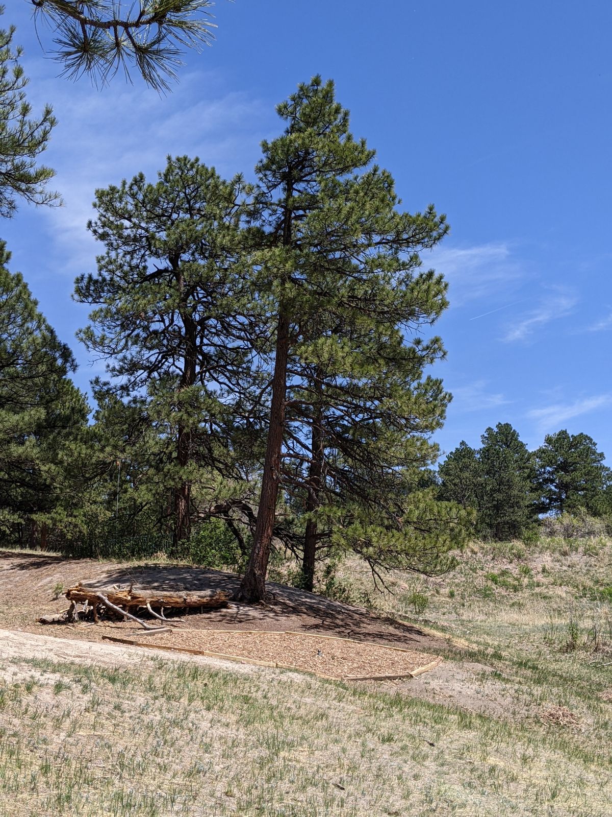 Hole 13