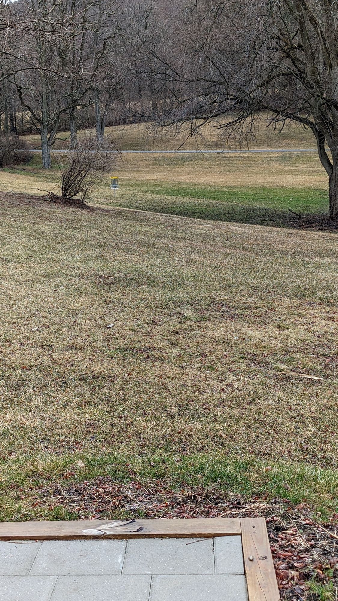 Hole 7