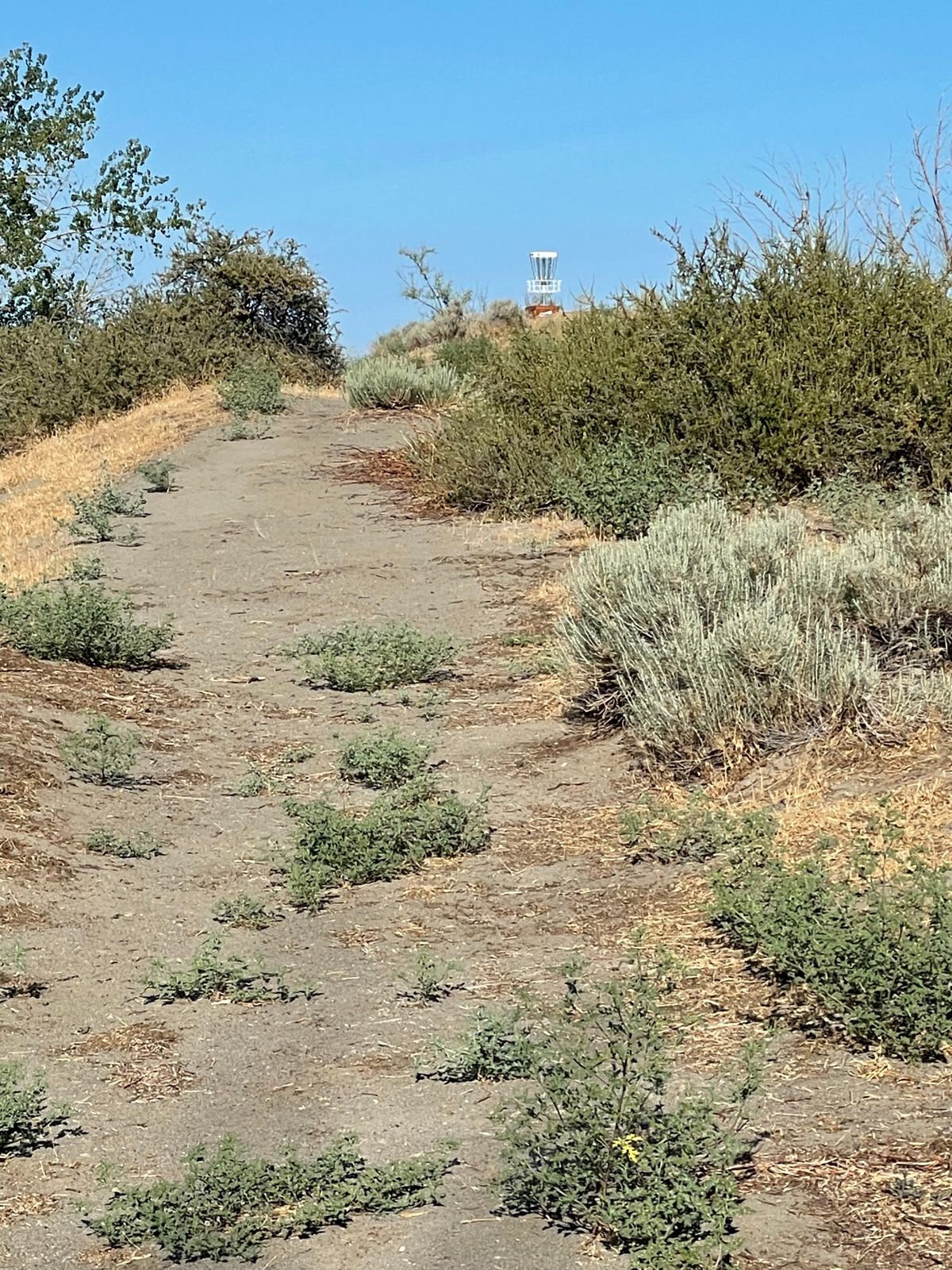 Hole 3 basket
