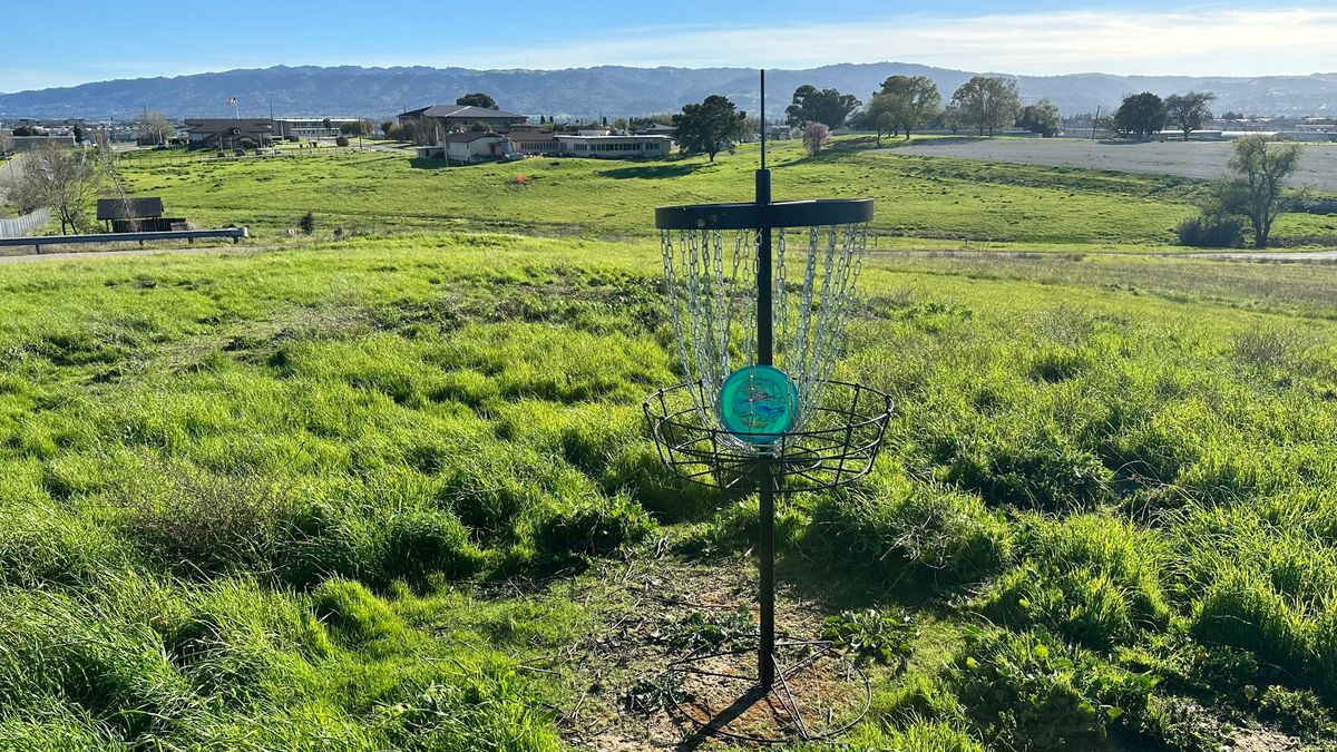 Newer baskets. Wind knocks a few down, but the area is playable.