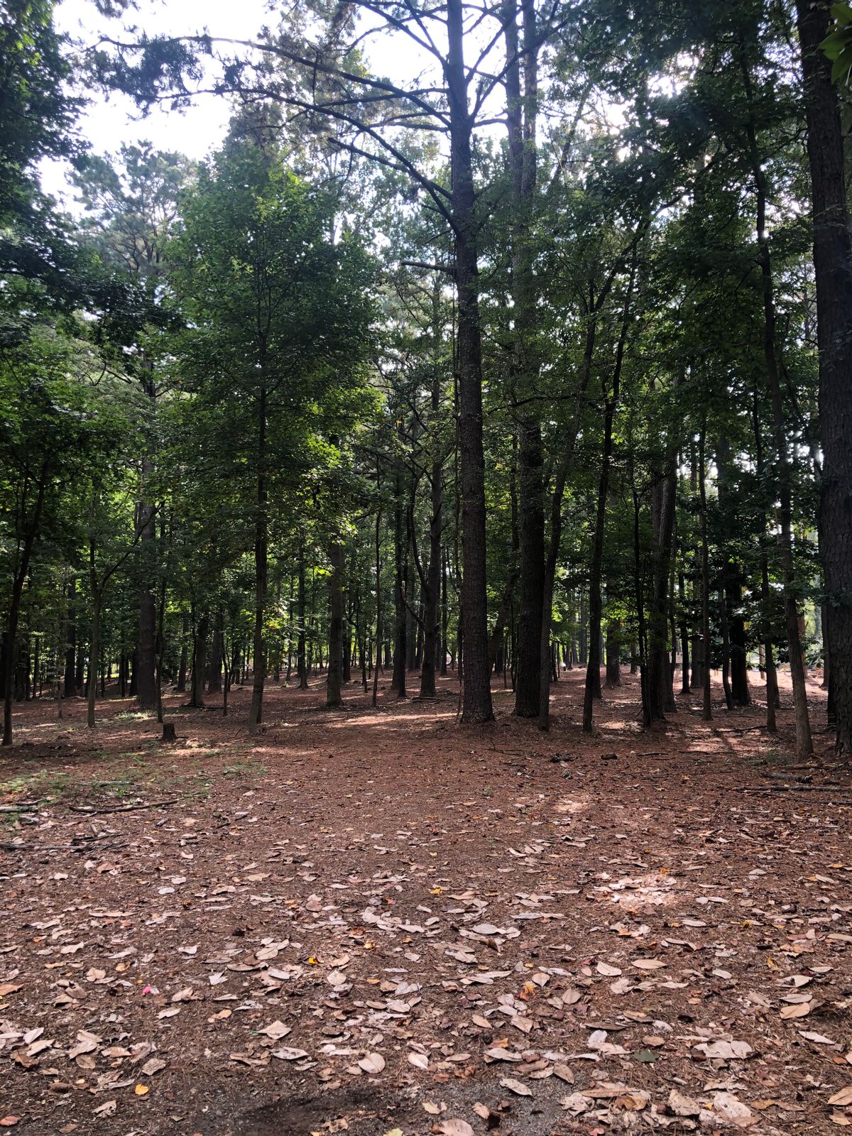 Hole 9