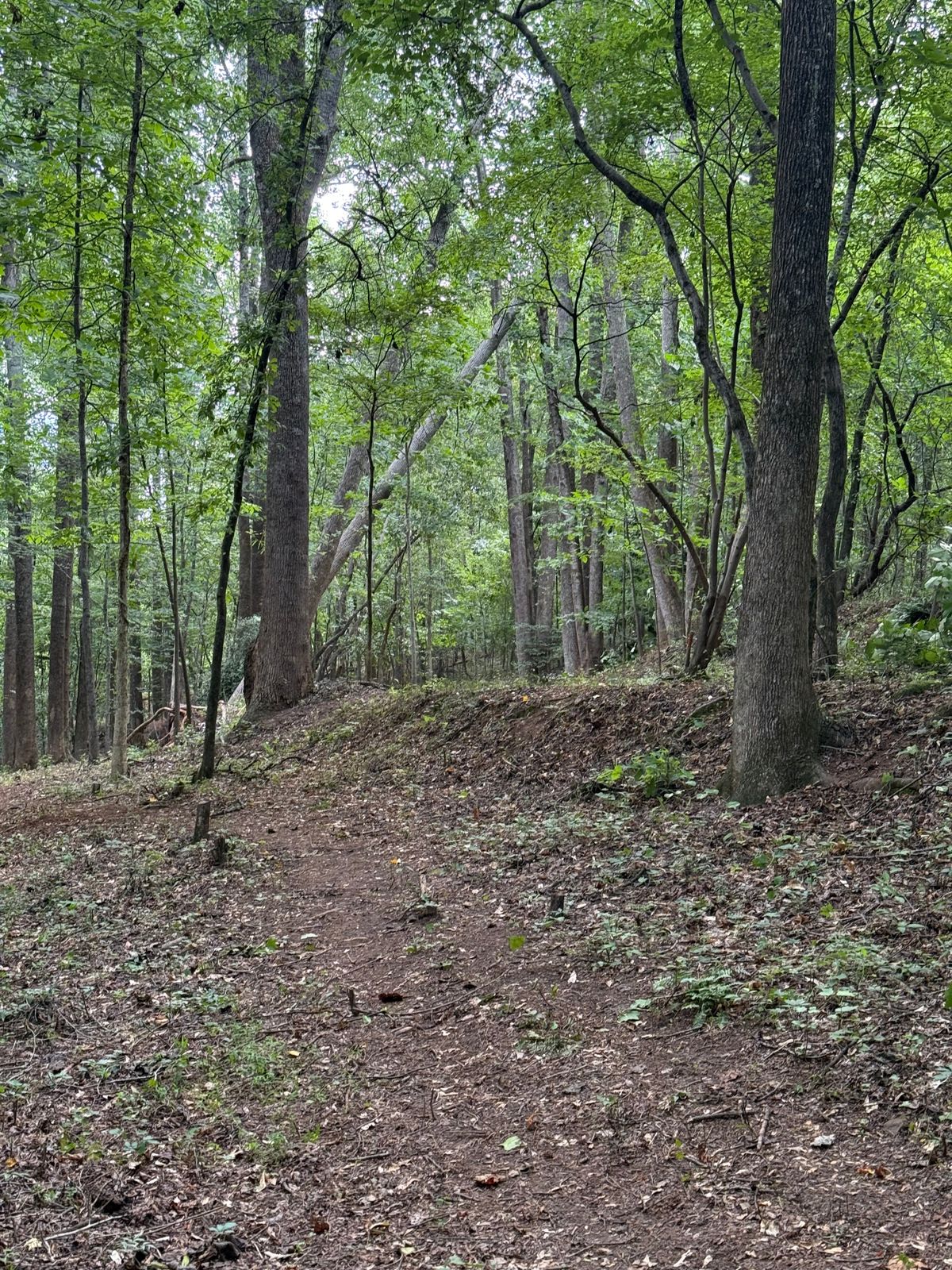 Hole 2