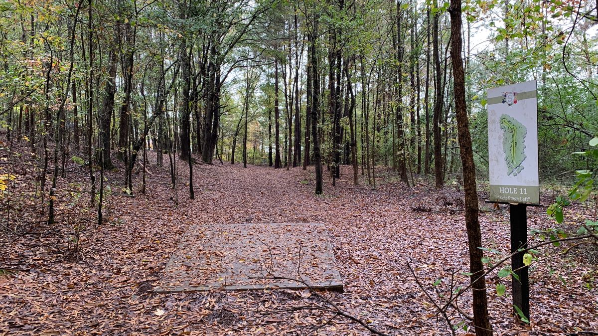 Hole 11