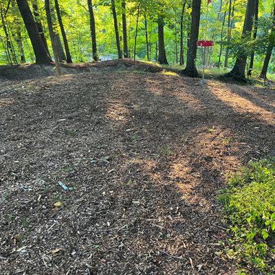 New wood chips on the green of hole 8