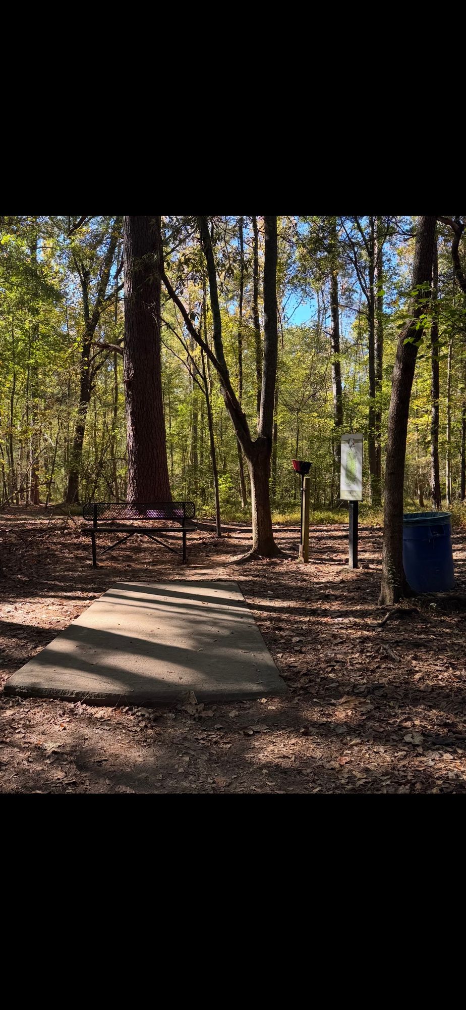 Hole 10 tee box area