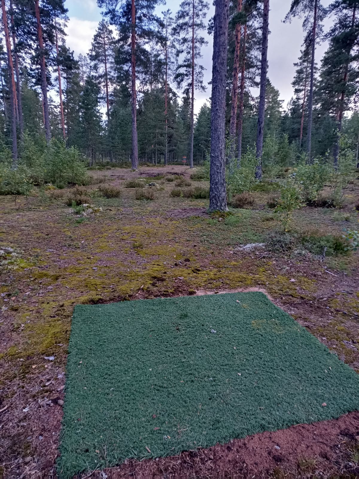 6. väylä