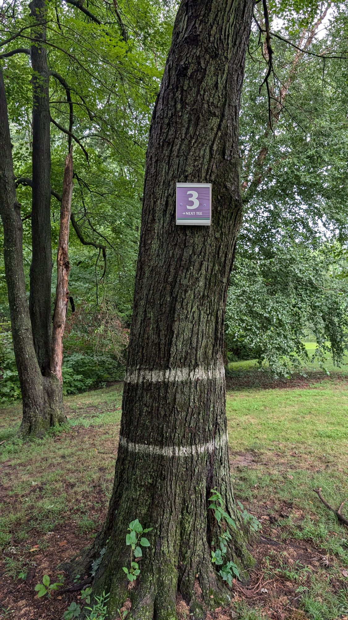 Hole 3 Target (new sign)
