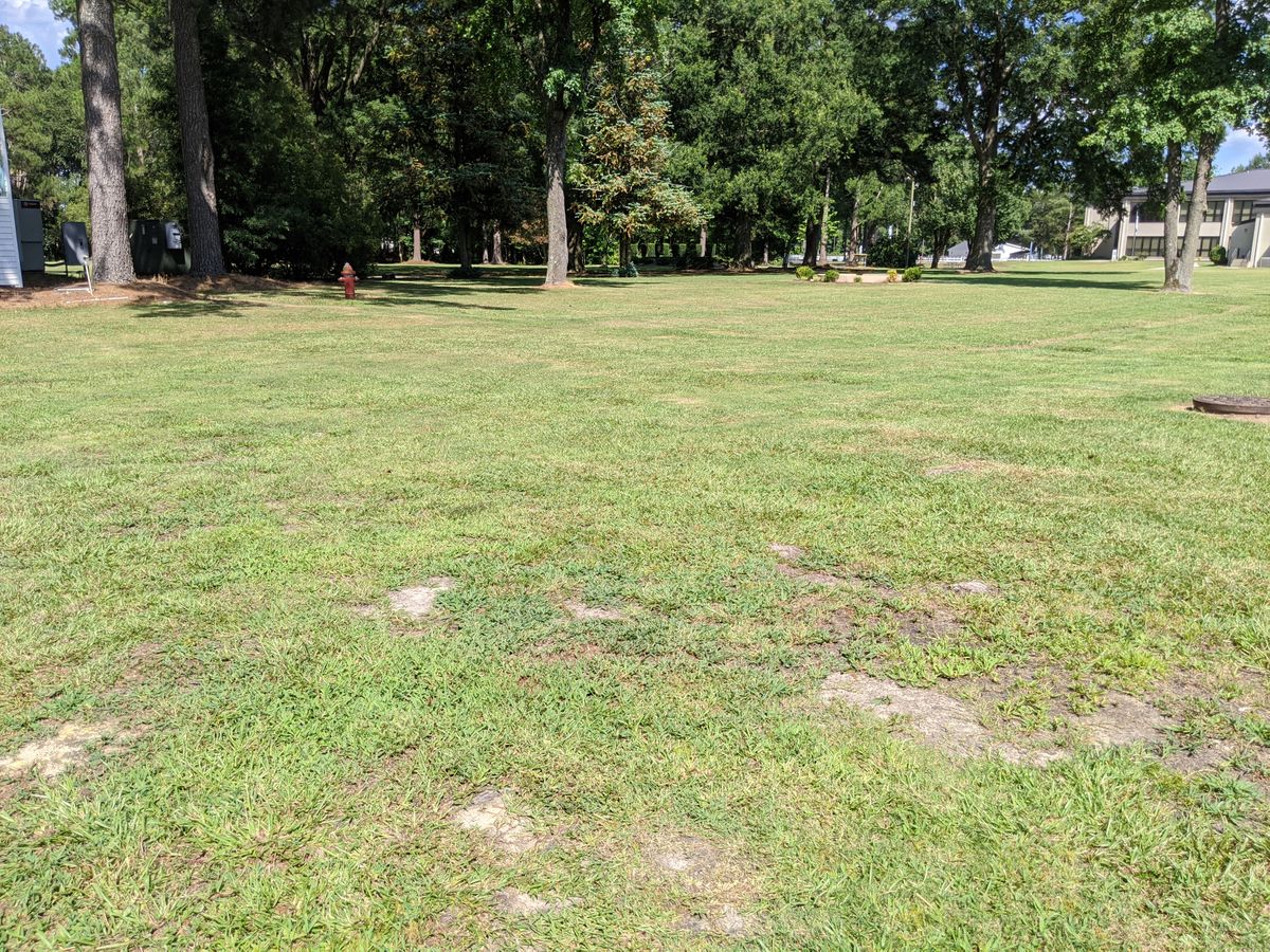Hole 1 Tee, looking at basket