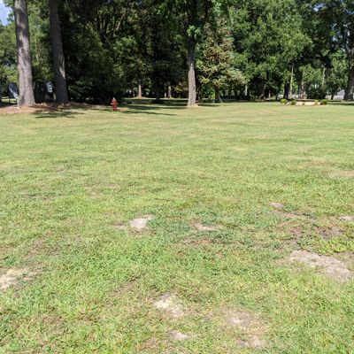 Hole 1 Tee, looking at basket