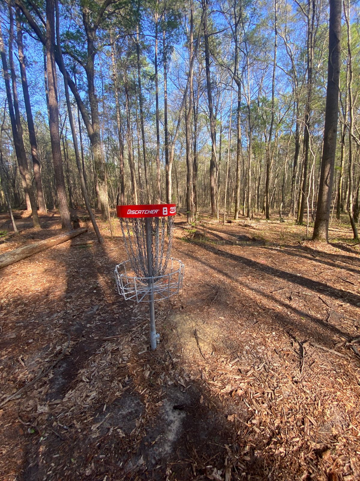Basket 8