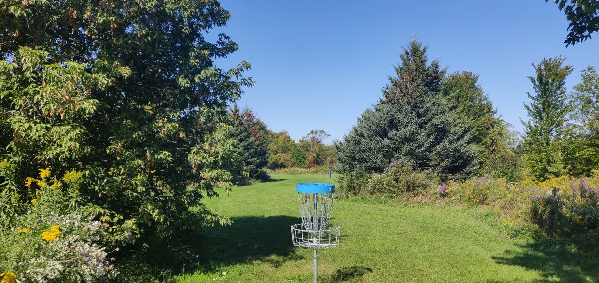 Hole 6 from behind basket towards tee pad