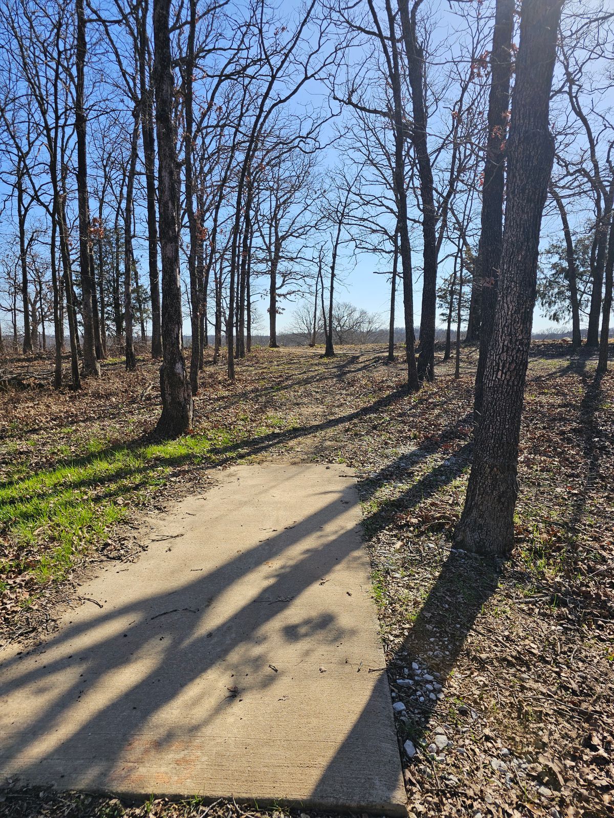Hole 23