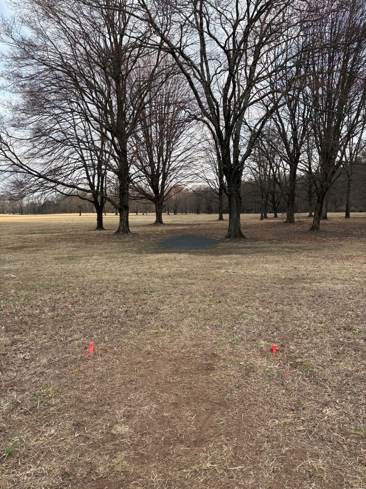 Proposed hole 16 is about 40 feet back of gravel pad.