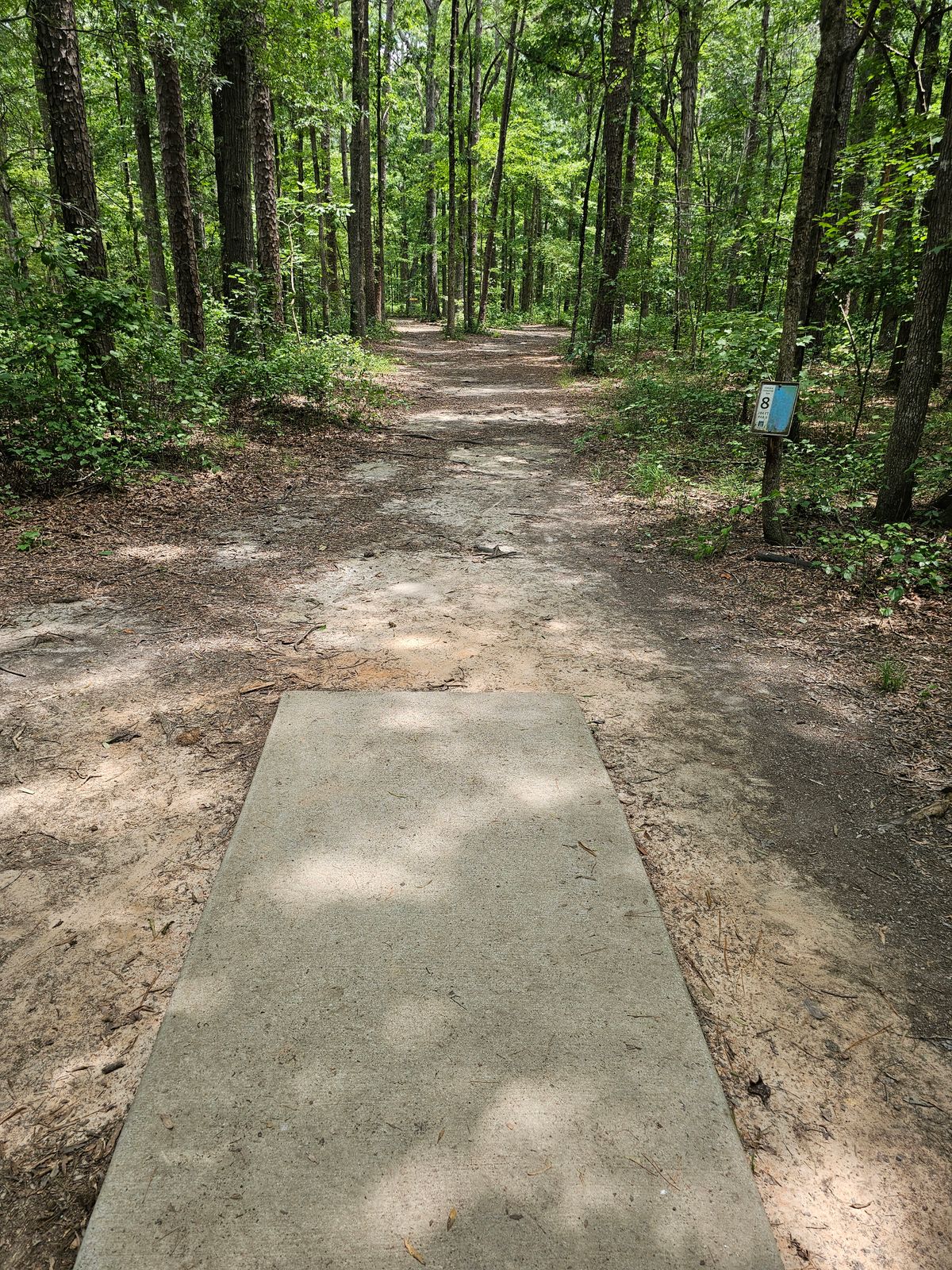 Hole 8