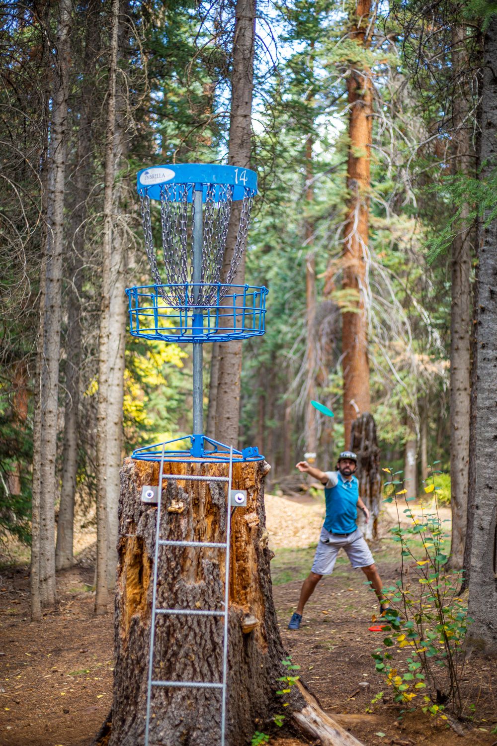 Hole 8 green B position

📸: Kevin Banker || Banker Cinefoto || September 2020