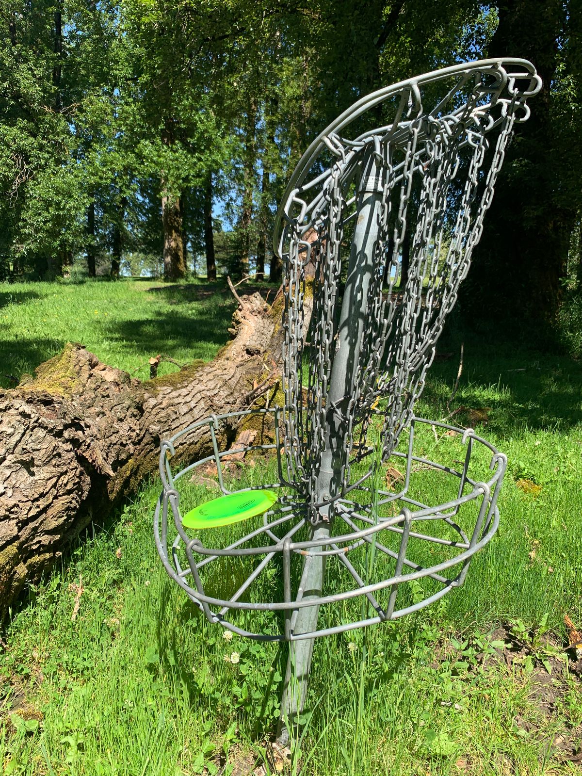 Wasted basket at 7 - after...