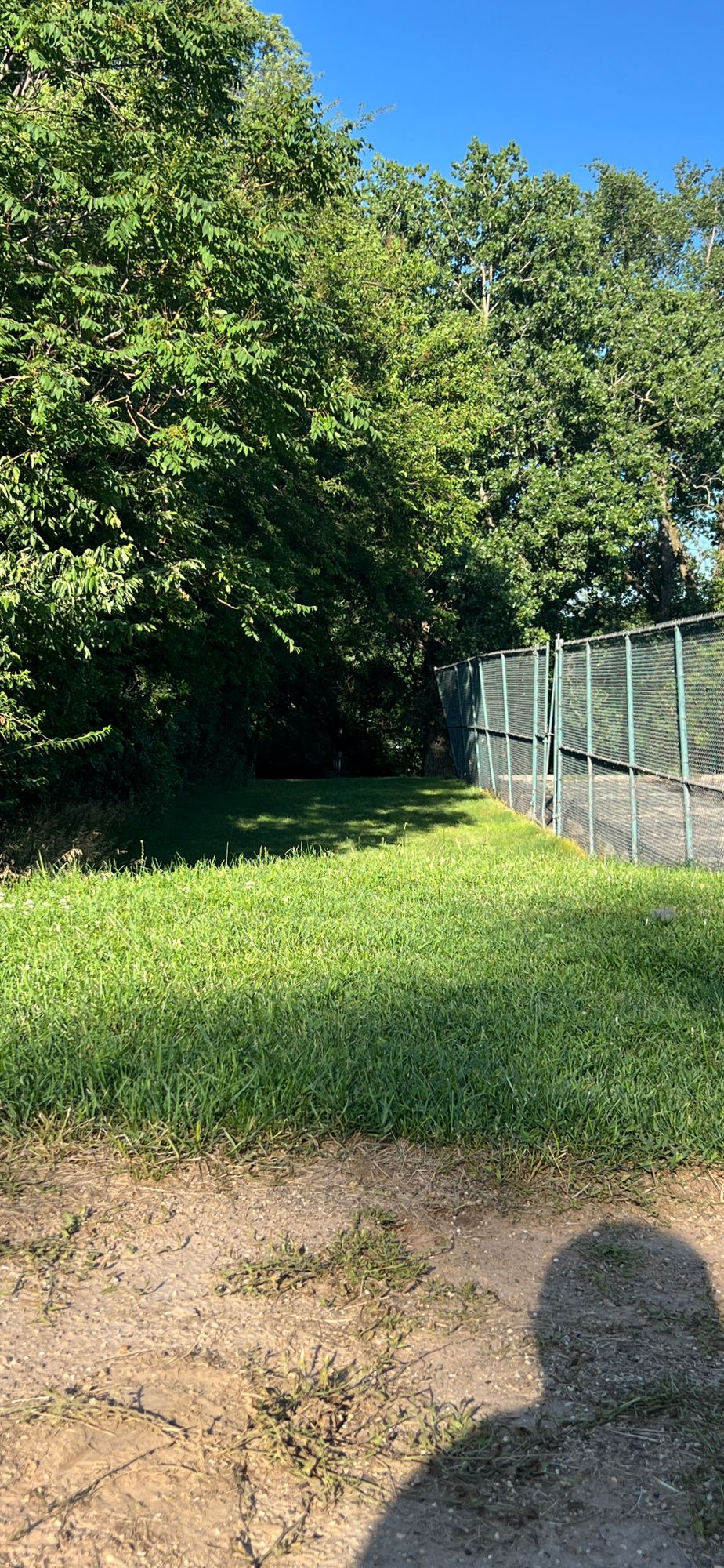 Hole 8 - Prime Ace hunting spot - June 2024