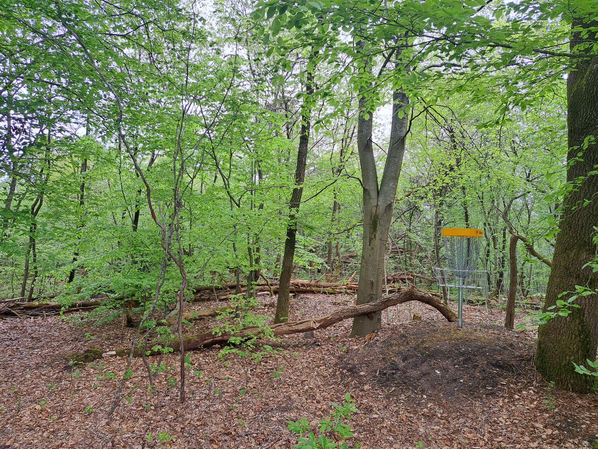 Hole 1 green