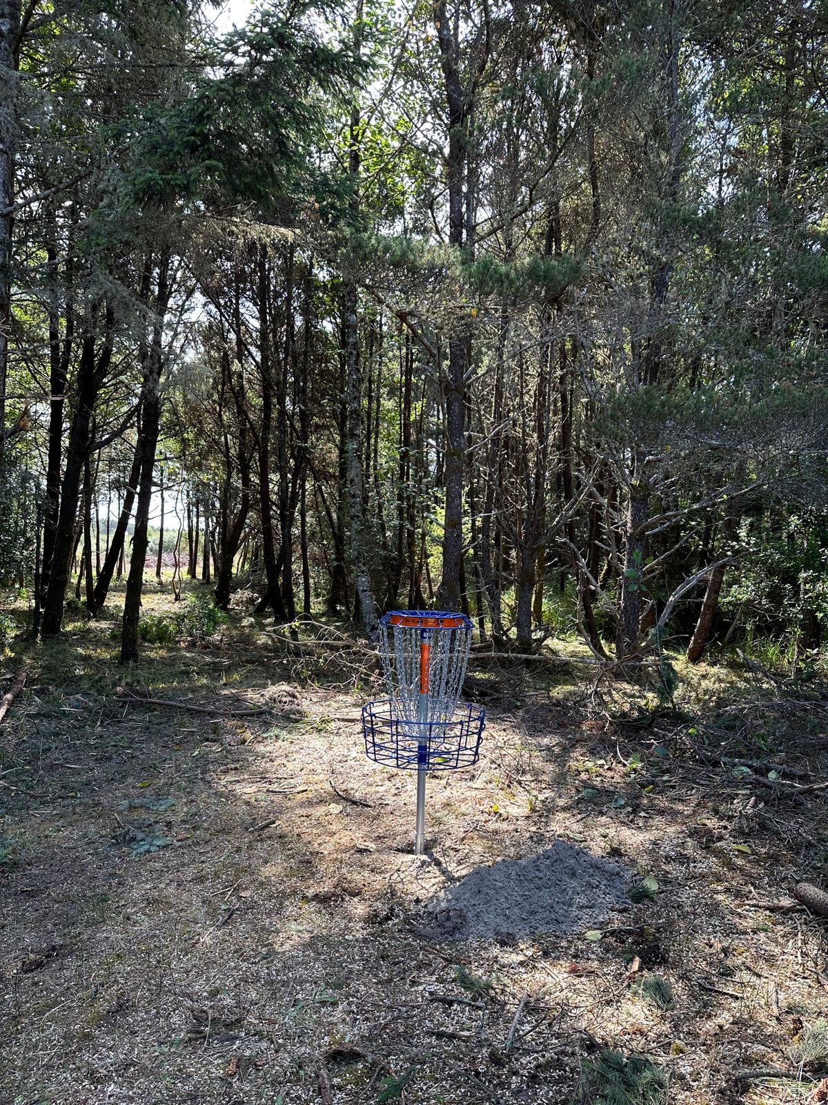 Hole 1 basket
