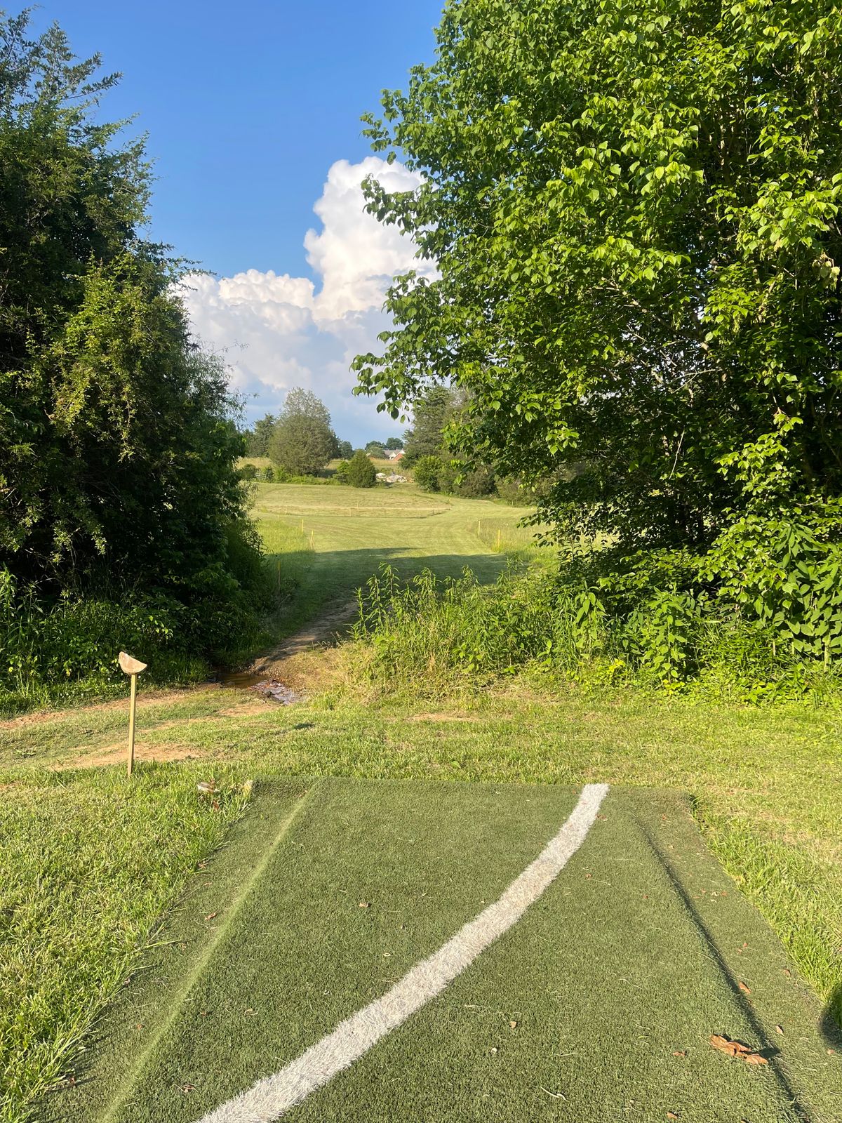 Hole 15 - Par 4