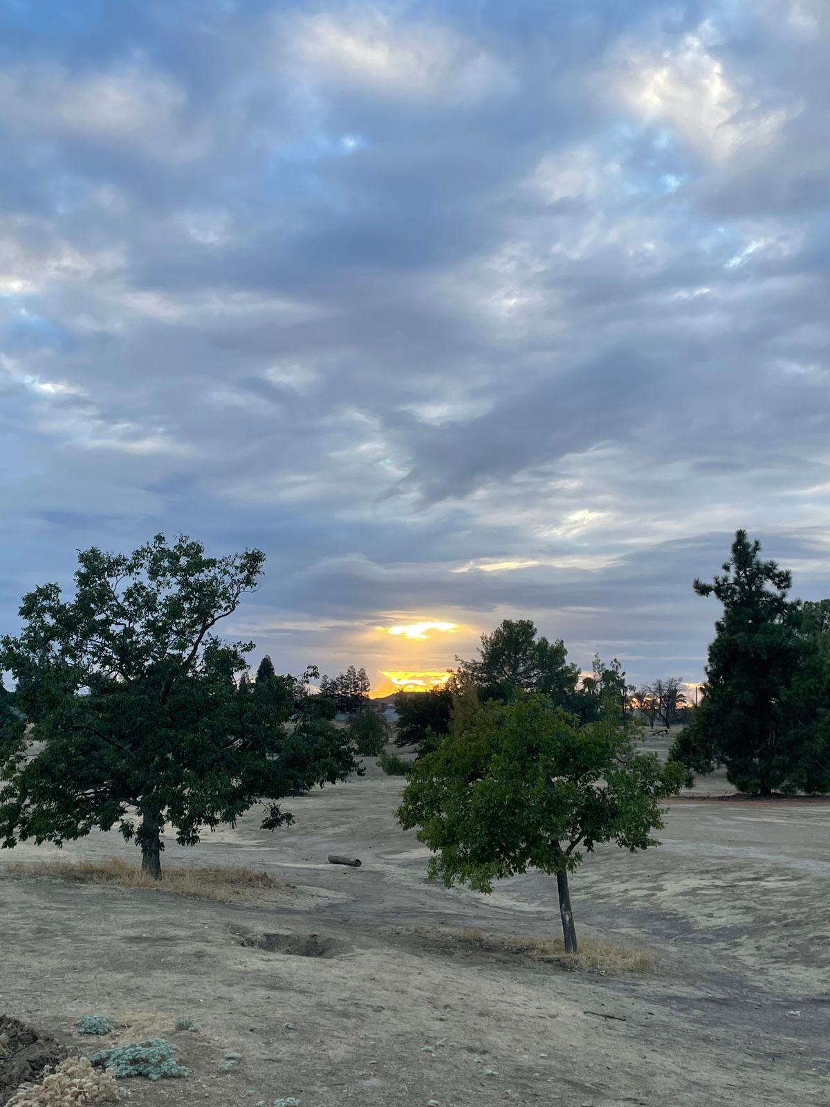magic hour with some cloud cover