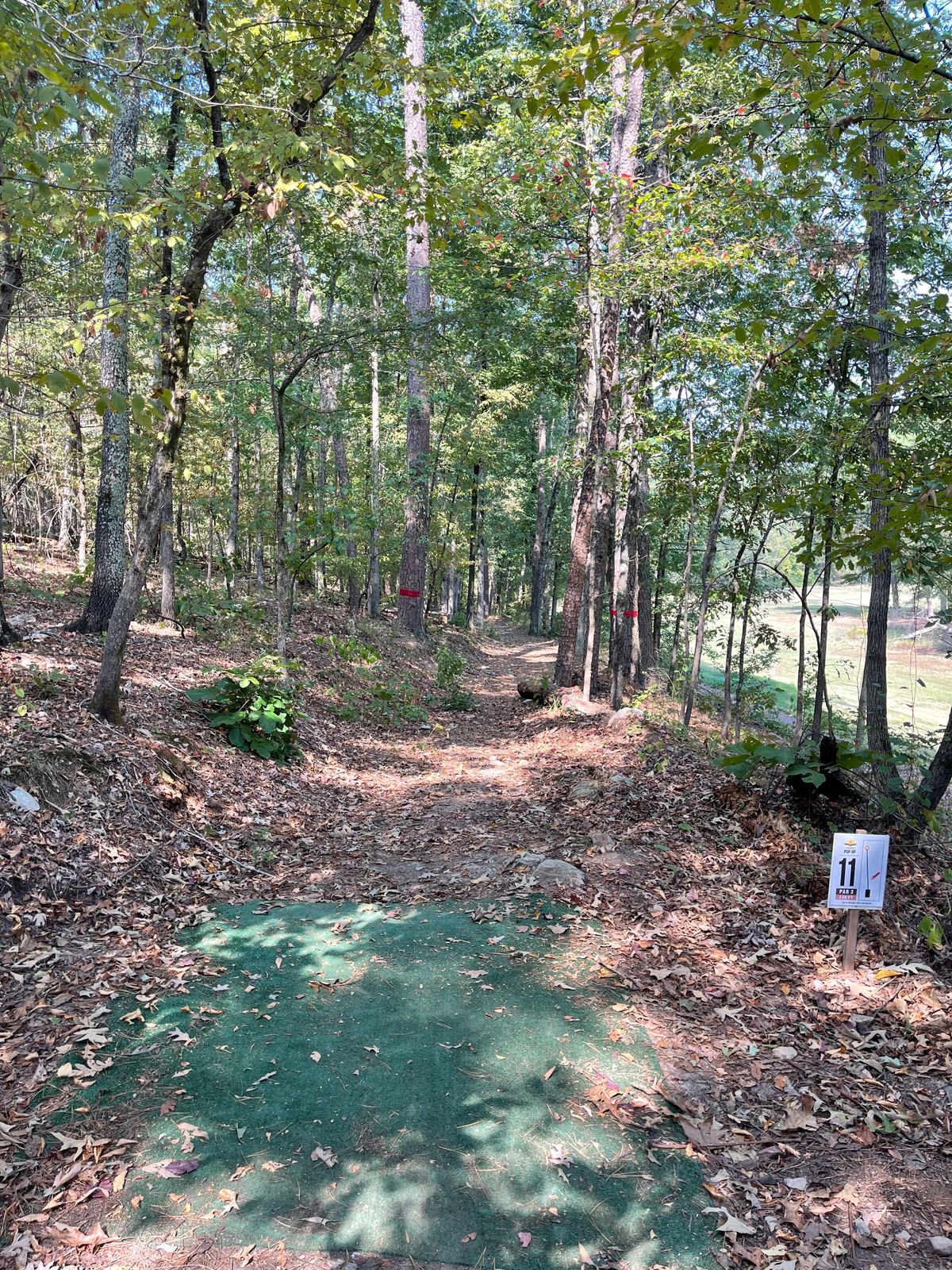 Hole 11