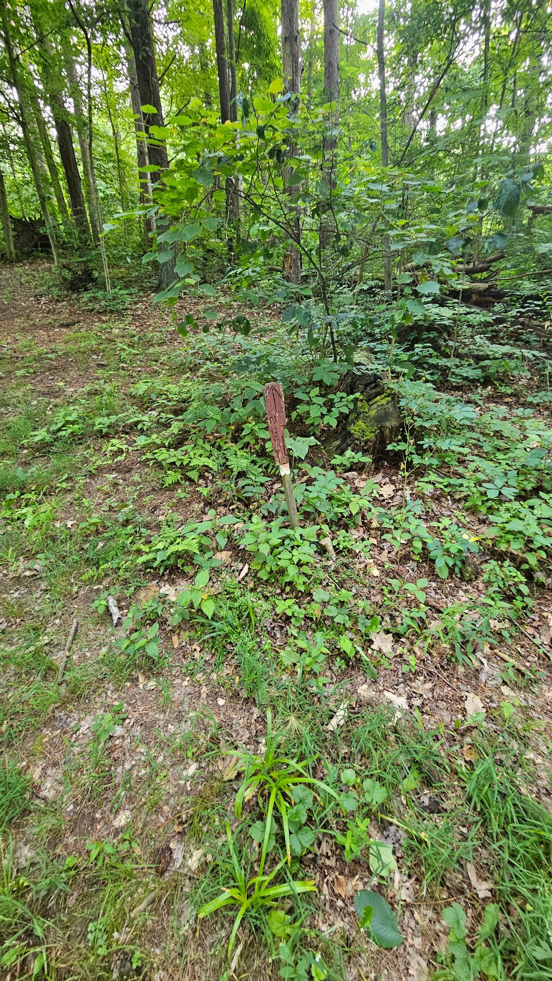 Barely found thishelp