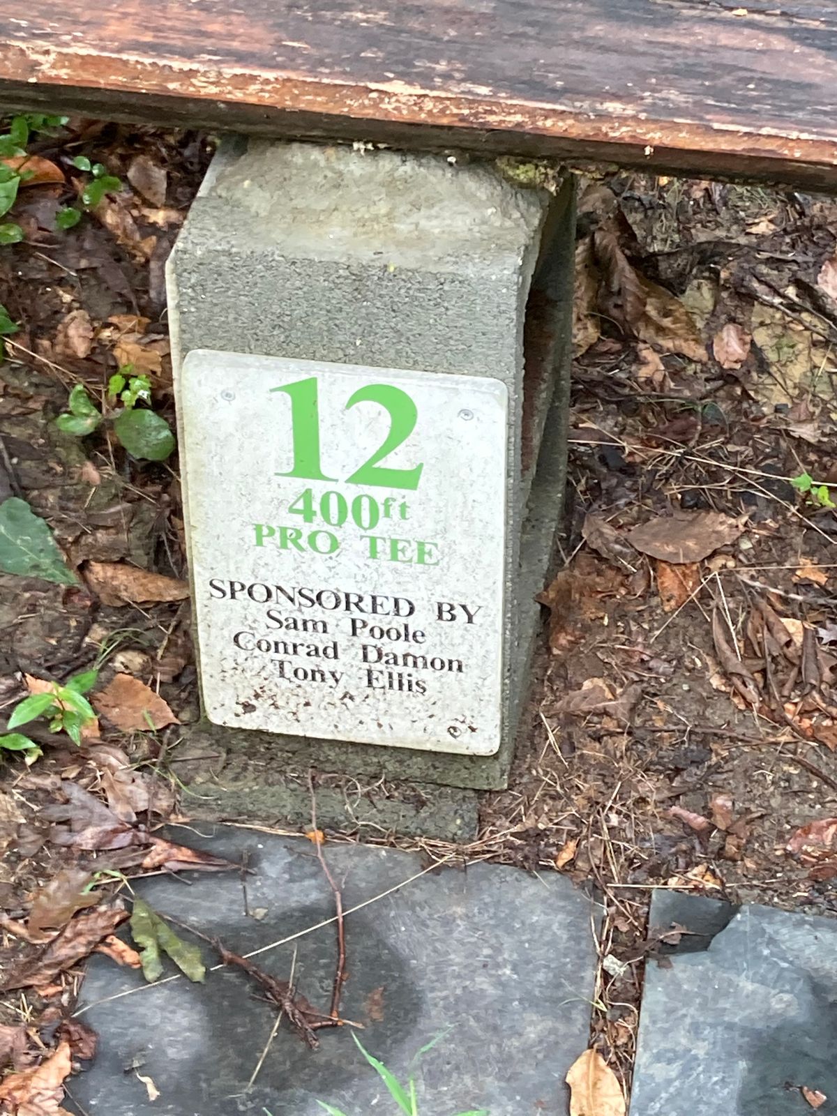Hole 12 (long)