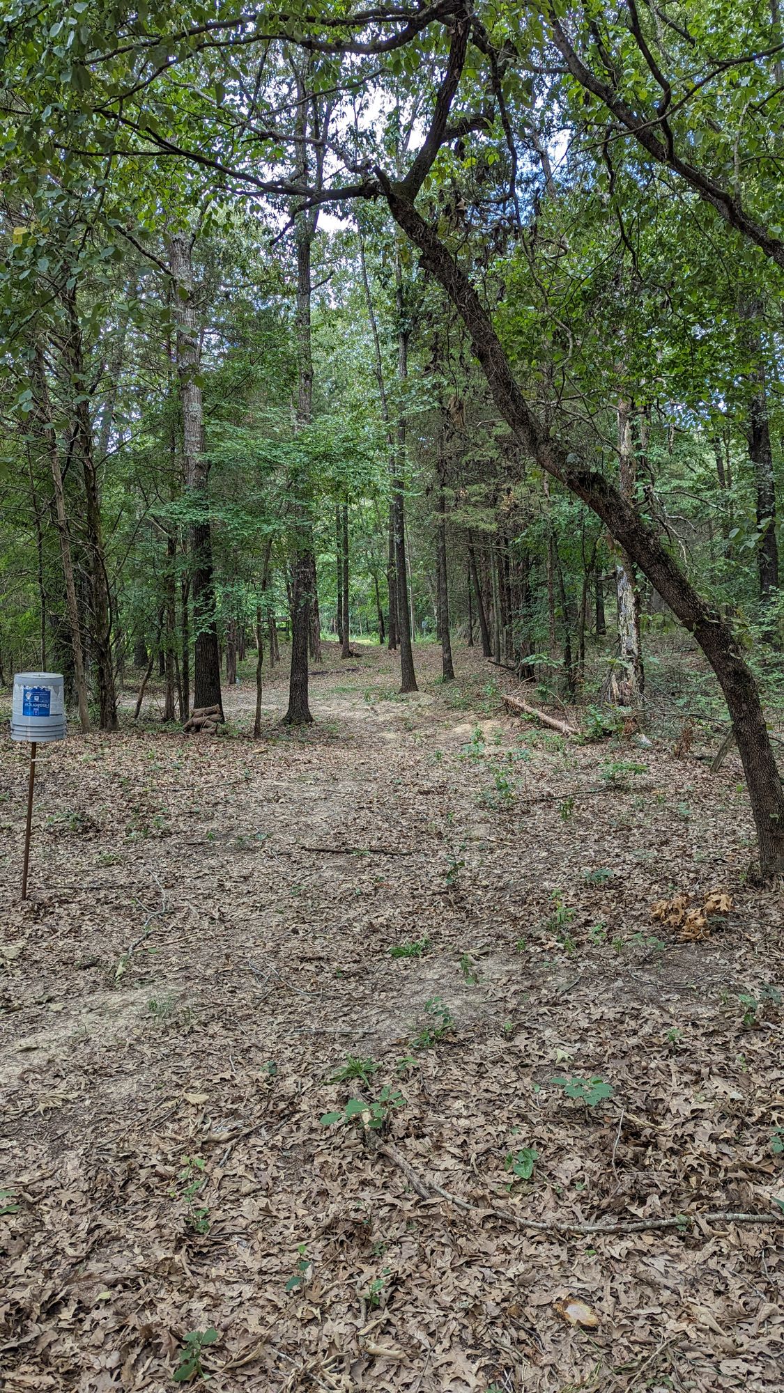 Hole 2 from teepad