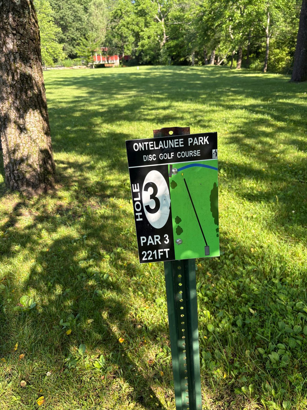 3rd tee